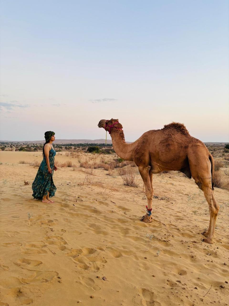 Crazy Camel Hotel & Safari Jaisalmer Exterior photo