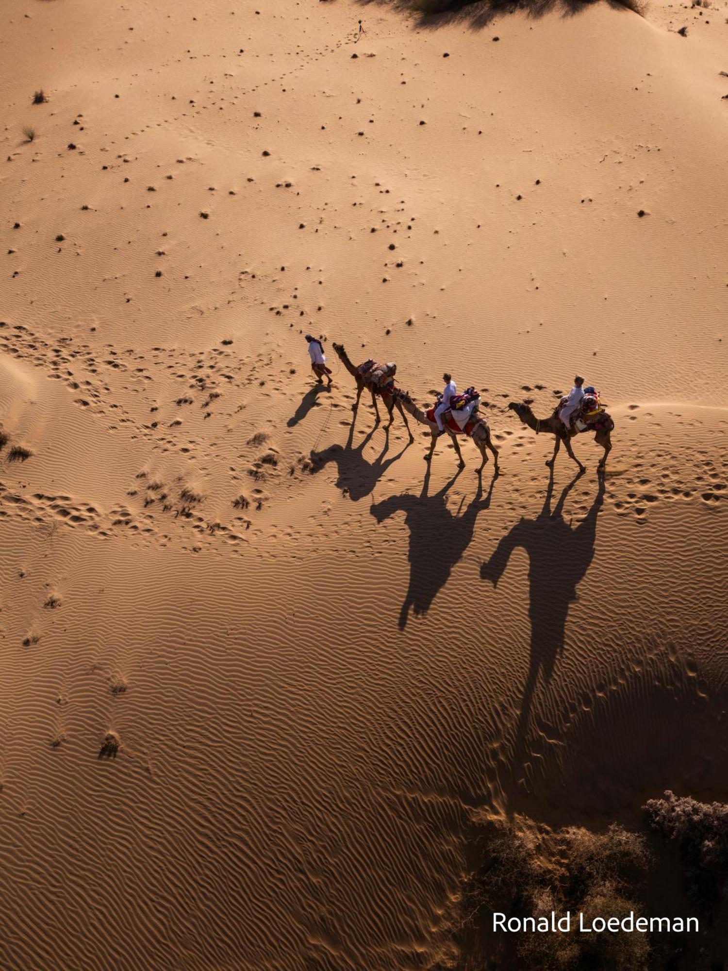 Crazy Camel Hotel & Safari Jaisalmer Exterior photo